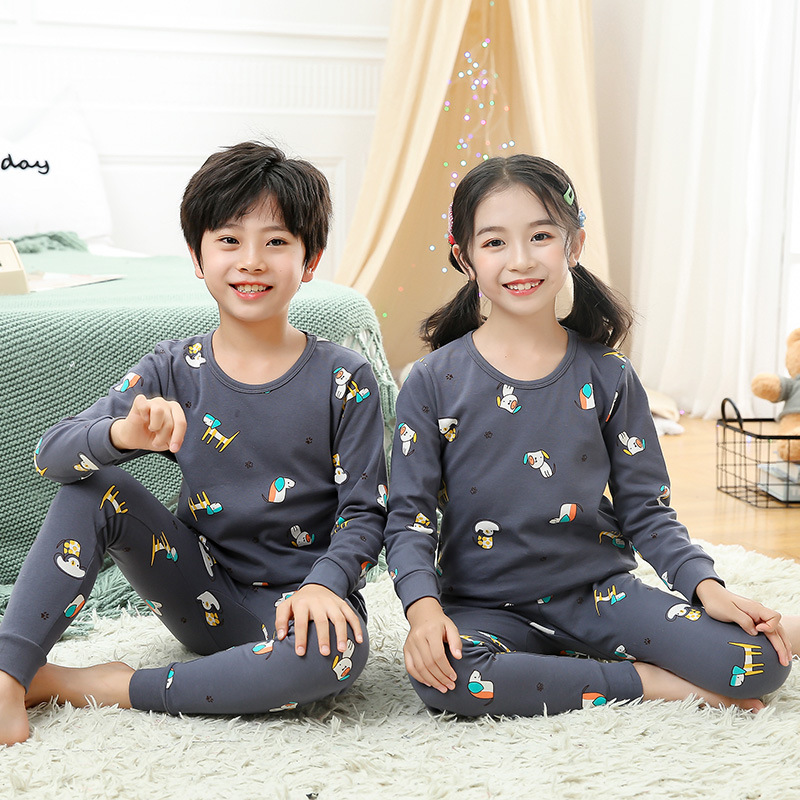 DB 다크 그레이 강아지