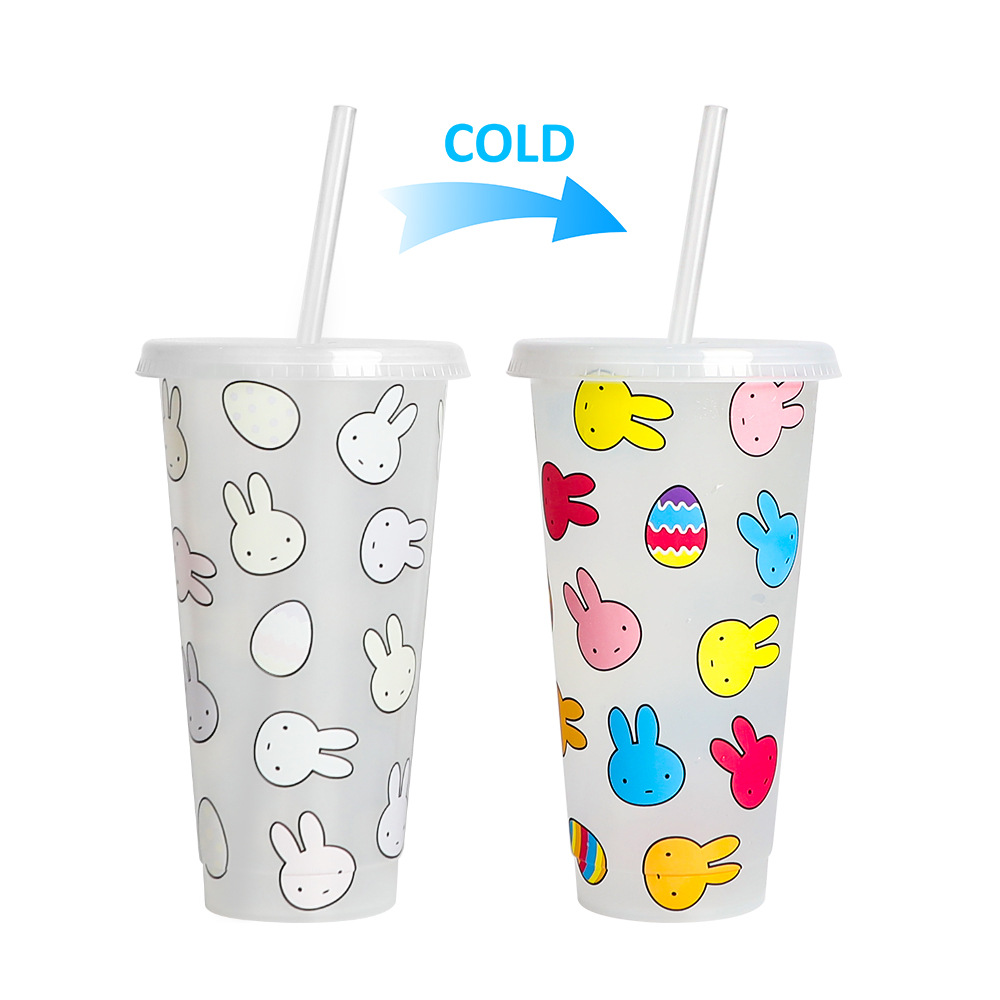 Spot transfronterizo de 710ml taza de plástico de color frío de gran capacidad PP taza de té con leche bebida fría con taza de paja con fábrica de inspección NBCU