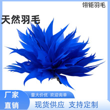 �r����ë�ػ���̨�ݳ����b����o���nʽ��ë�����Ȼ��ë�ػ�