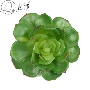 �������ֲ��11cmʯɏ���ָ����z��С���ԾGֲ�k�����b���[��