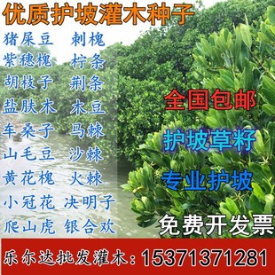 �o�¹�ľ�N�Ѻ�֦�����뻱�iʺ��С�ڻ�܇ɣ�Ӵ̻��y�Ϛg�G������