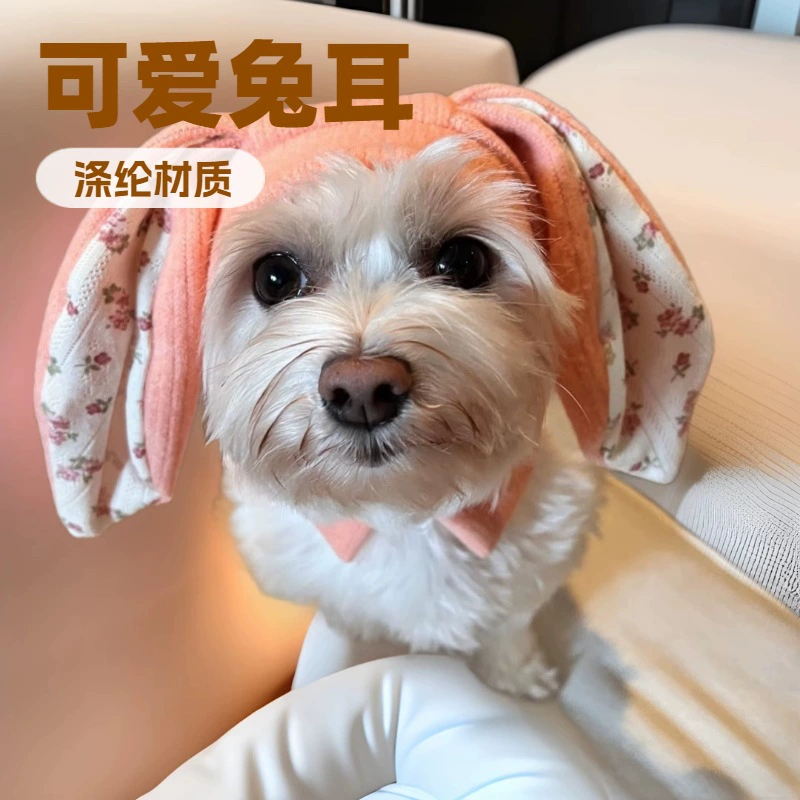 Трансграничные новые пасхальные кролики домашние животные одеваются шляпы, собачьи уши шарф защита от шума трикотажная теплая шапка