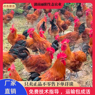 ���l���������u�të���u������w�r����B�ߵ��u֧�������Bֳָ��