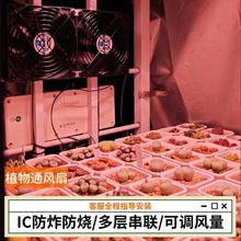 ���{�ٴ��L��12CM���ӻ��ܶ����L�Ƚ���ͨ�Lֲ���ֲ��110/220V