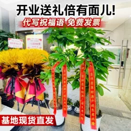 盆栽;其他园林资材;栽培基质