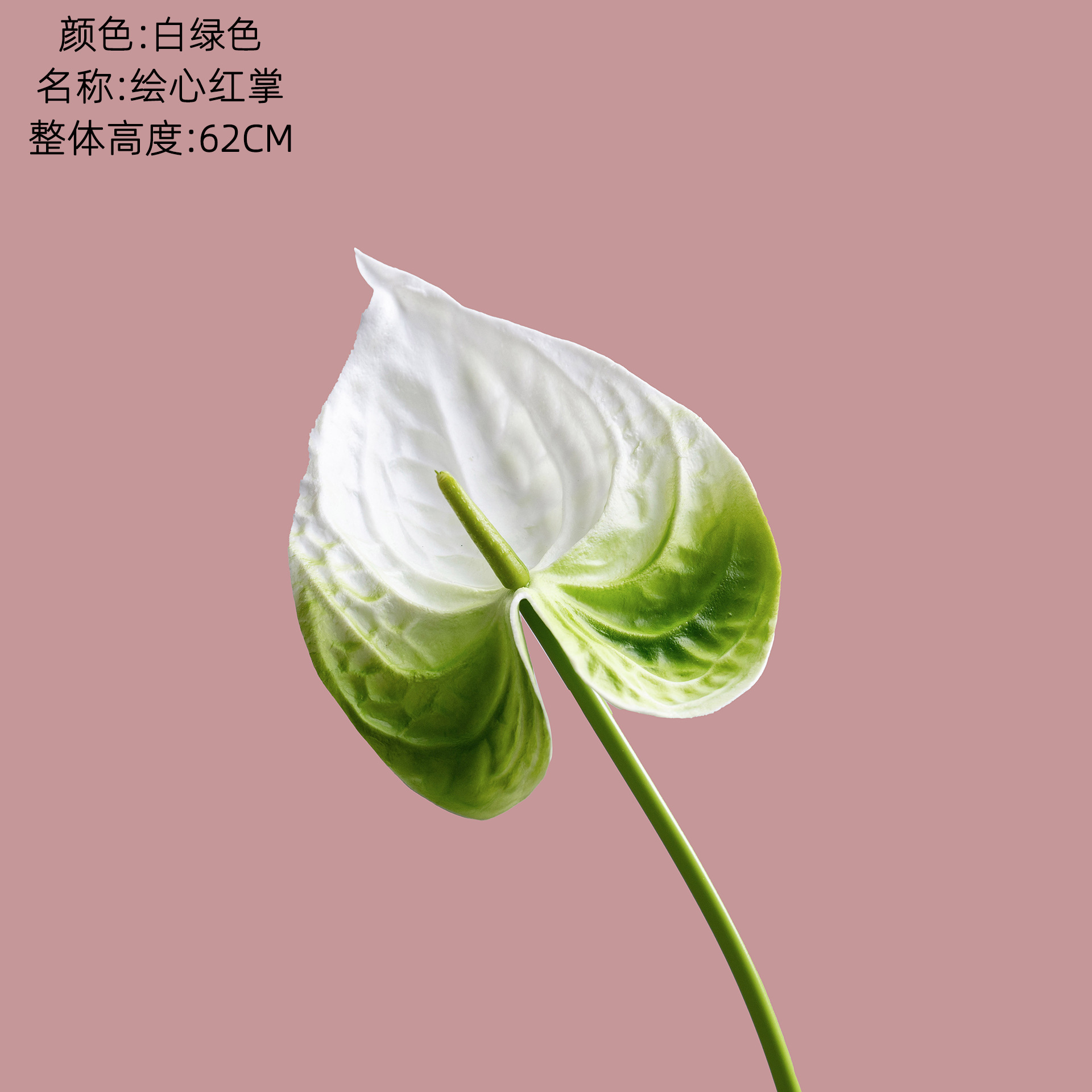 흰색 녹색