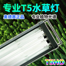 �W��ِT5HOˮ�ݟ��ݸן����ܟ��Pˮ����������u��ˮ�����~��