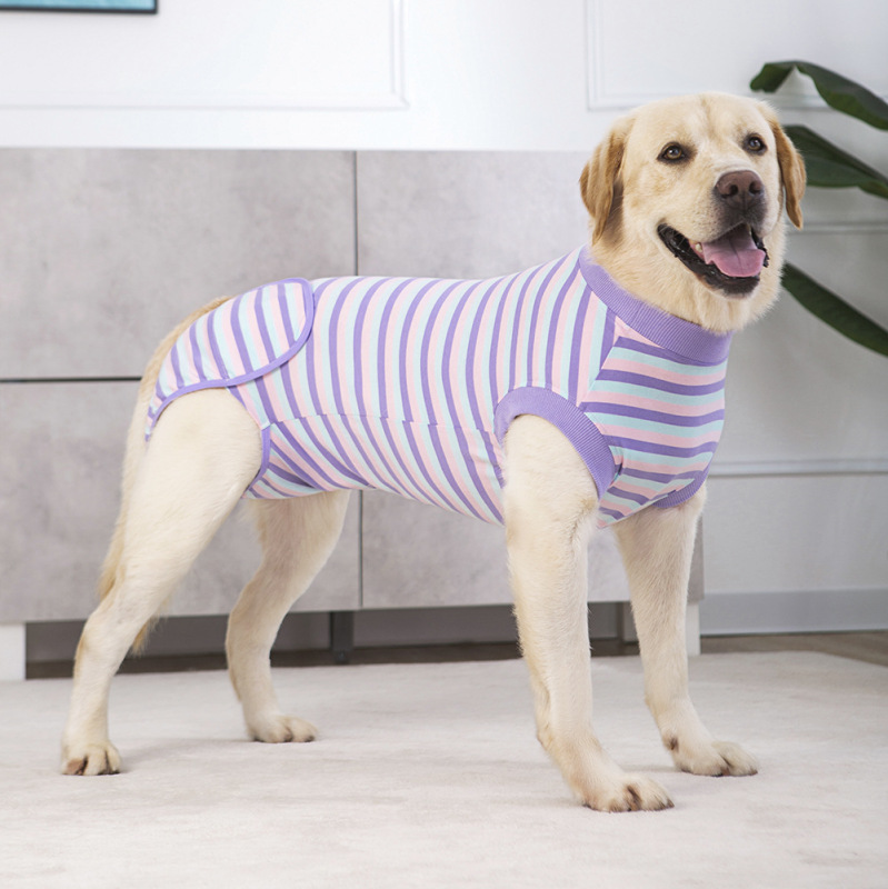 犬術後服回復服ペット手術リハビリ服クロスボーダー爆金ペット絶育服手術看護服|undefined