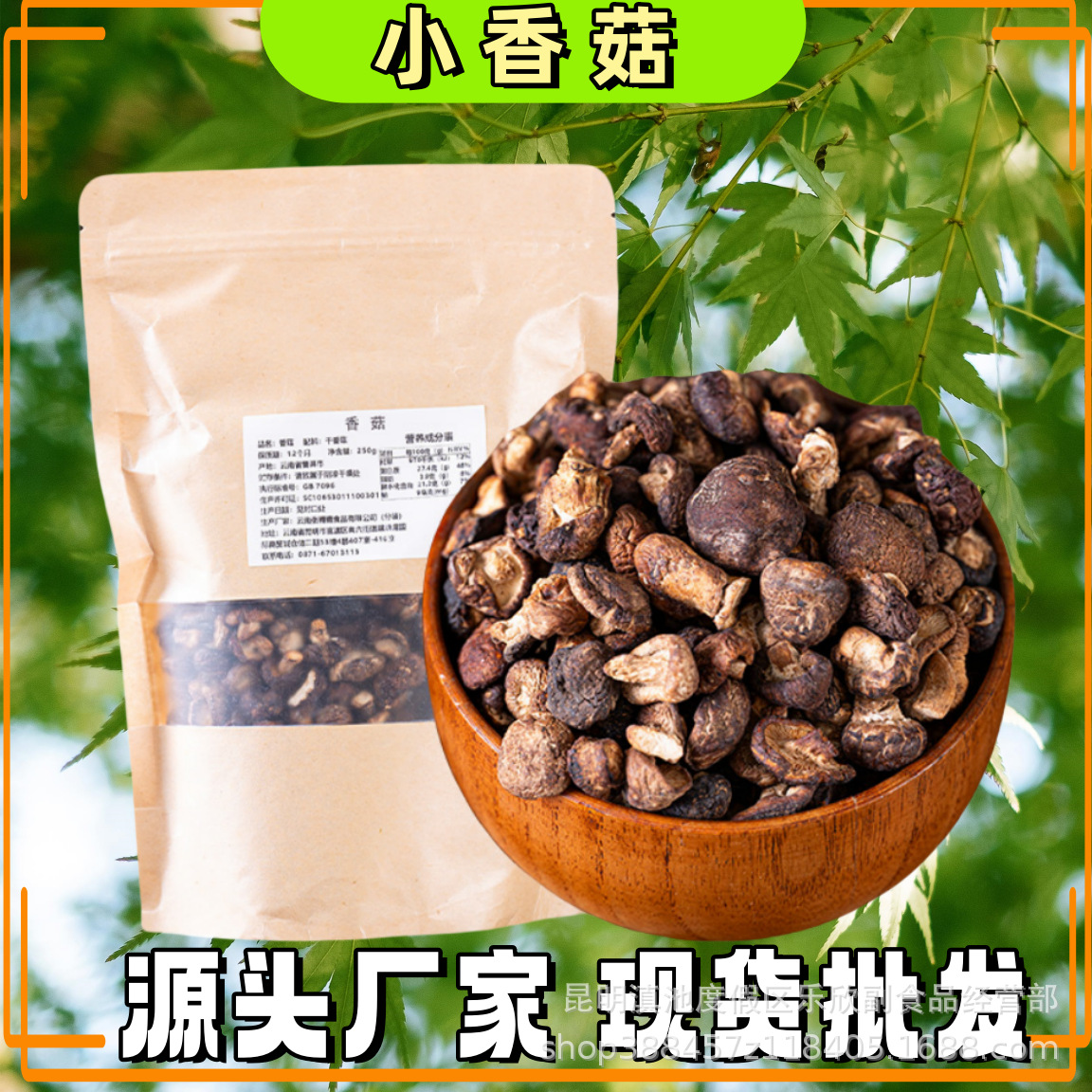 云南香菇干小香菇批发菌菇干货珍珠菇花菇菌菇500克/袋迷你小香菇