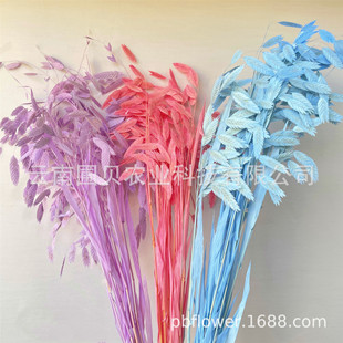 �������L�� �Ҿ��b[���ɻ�������DIY����С�βݬF؛���l