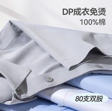 夏季高档男士白衬衫短袖纯棉商务男装80支双股全棉成衣免烫衬衣男
