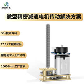 厂家直售直流高品质微型电机3V6V12V电子锁微型减速马达电机