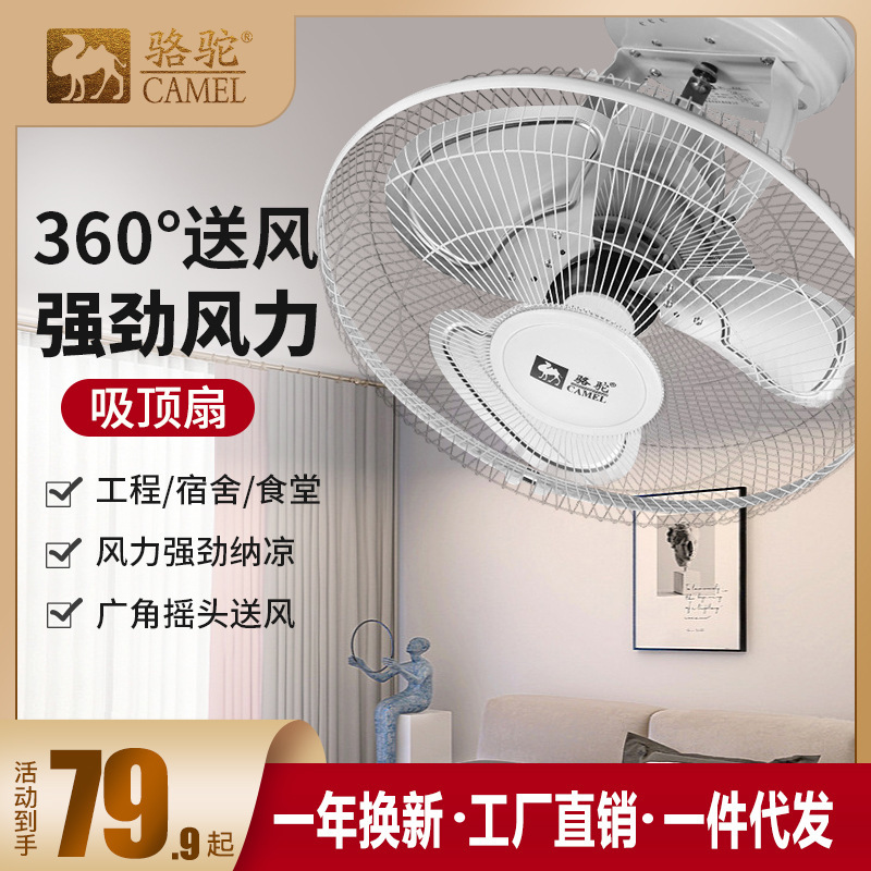 Camel Ceiling Fan, Roof Fan, Household Ceiling Fan, Living Room Ceiling Fan, School Shaking Head Electric Fan, Silent Remote Control Fan