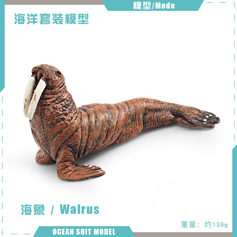 Transfronteriza simulación animal marino modelo rompecabezas cognitivo asesino ballena morsa nutria perro de mar escritorio estática decoración juguete