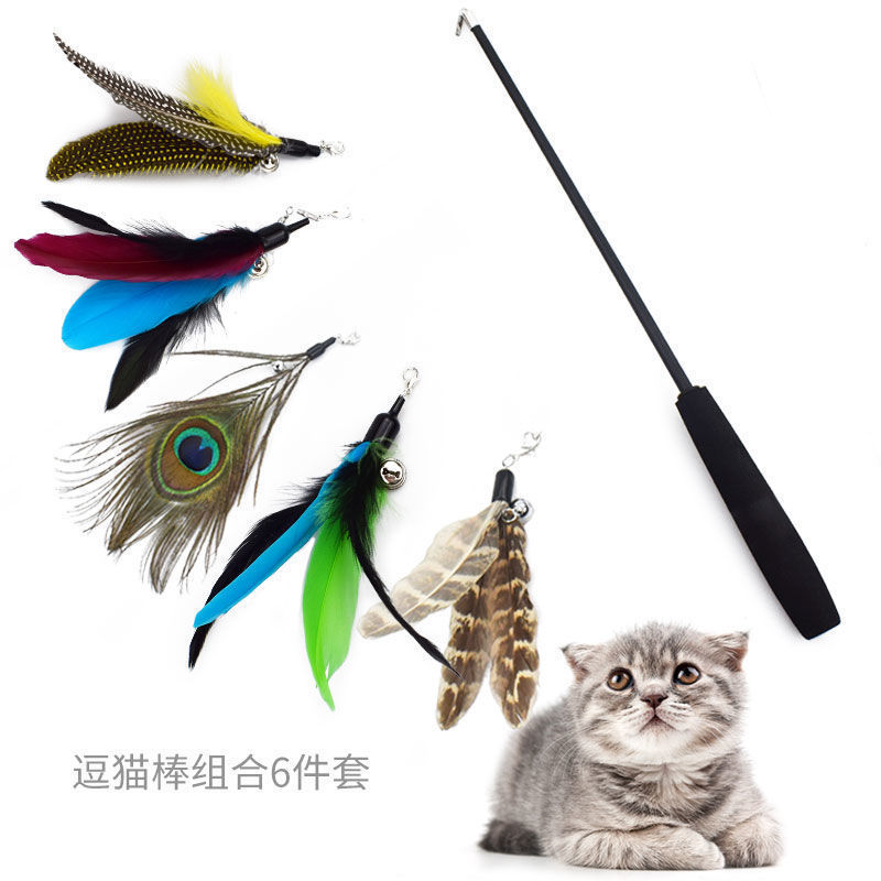Cat Tease Stick Telescopic Rod Cat Bite-resistant Chicken Feather Large Feather Fishing Rod Bell Three-section Long Rod Replaceable Head Set