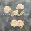 5 heads of PARKnSHOP rose champagne color