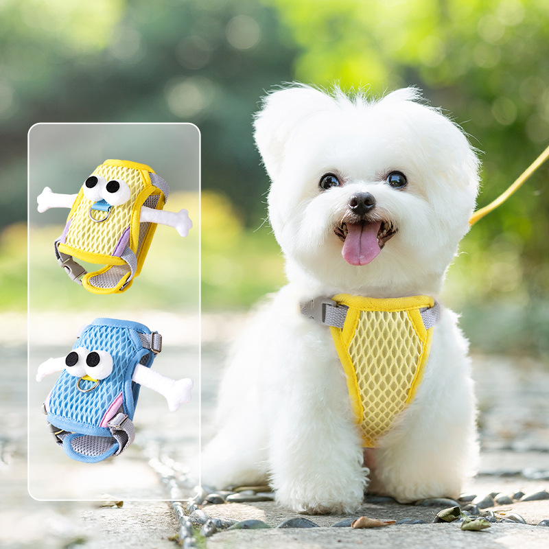 Amarillo de ojos grandes tirando pecho y espalda perro pequeño verano transpirable perrito ajustable cuatro estaciones mascota perro correa
