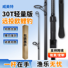 �羳���l30T�p�����hͶ�͚W����hͶ�U����̼�ؒ�Ͷ��ឝO��