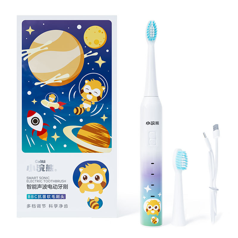 전동 칫솔 (충전식)