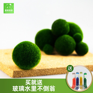 �R��Ī������΢���^���Bƿ�~���҃�����ˮ����������ֲ��ˮ������
