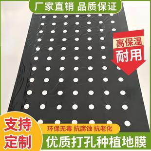 Perforated Agricultural Plastic Film with Holes Holed Silver Black Plastic Film for Grass Prevention Vegetable Planting Pepper Garlic Corn Garlic