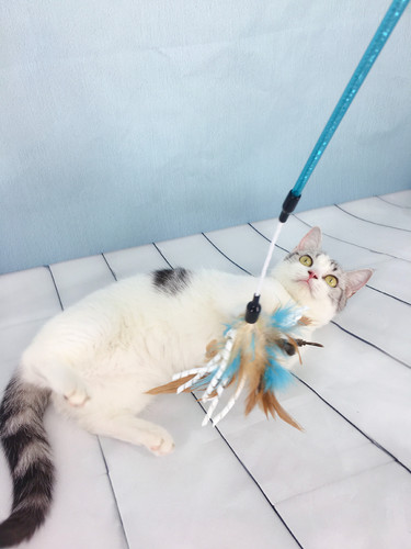 Star Smart Cat Manufacturer Spiral Turkey Feather Cat Wand Cat Toys Bell Feather Durable Chew Interactive Cat Wand