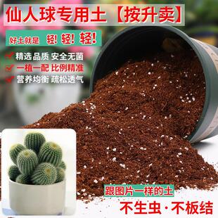 Special soil for cactus horticultural planting soil weak acid general nutrient soil golden tiger fleshy special granular soil