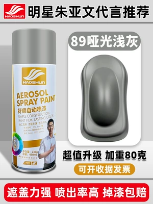 Metal Anti-rust Paint Wall – Avtomobil boya qələmləri - 28matte-light-gray