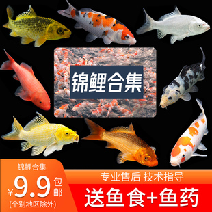 �\�����~�^�p�~���NС�ͺ��B�ͻ��\���~�絭ˮ��ˮ�t���~���~���]