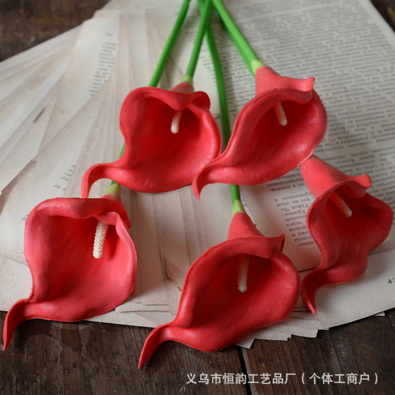 빨간색 흰색 코어