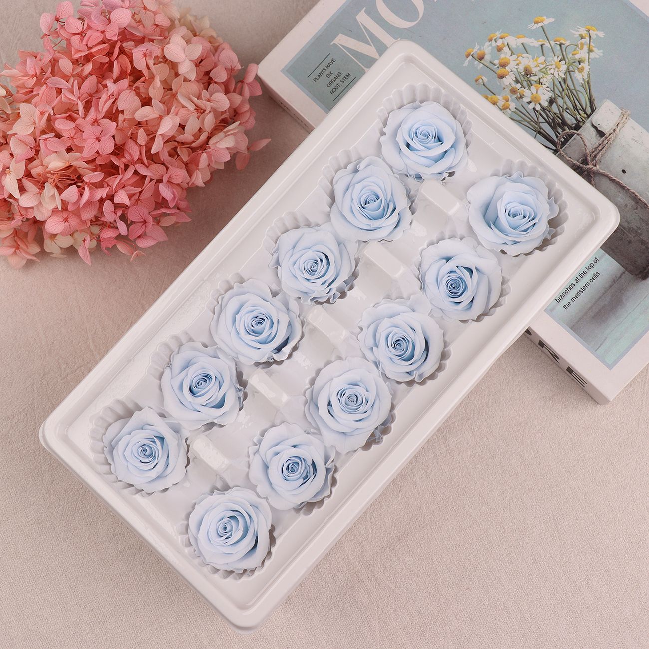Cabezas de Rosa Eternas A+, 3-4 cm, 12 Piezas, Materiales para Manualidades Florales, Caja de Regalo, Fabricante, Venta al por Mayor
