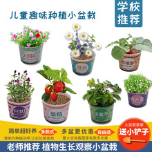 DIY自吸水植物盆栽科技小制作儿童科学实验玩具幼小学生手工种植