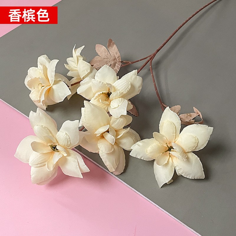 샴페인 컬러 6 헤드 이브닝 룩