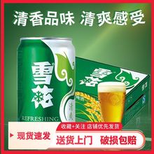 雪花啤酒清爽330ml*12、24听/整箱 拉罐啤酒雪花听装啤酒绿罐批发