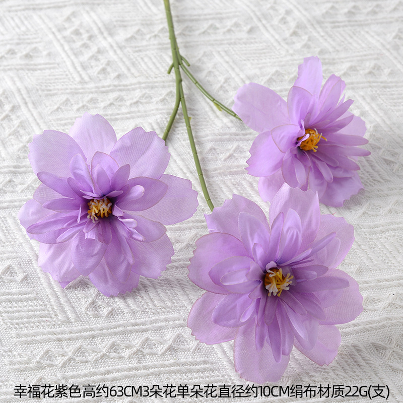 3 cabeza feliz flor púrpura