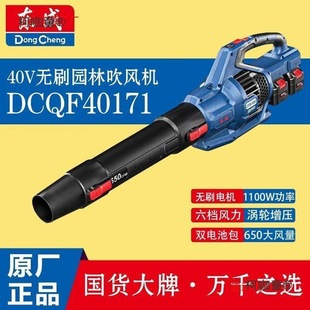 Dongcheng Lithium Hair Dryer Dcqf40171 Brushless Industrial Grade Construction Dust Collector Dongcheng Rechargeable Metabo