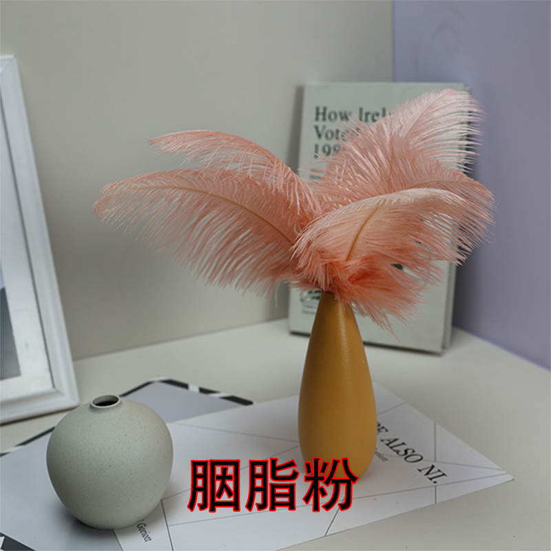 Plumas de avestruz bodas blancas de avestruz guía de plumas accesorios de fotos adornos rojo rosado en línea grandes plumas decoración