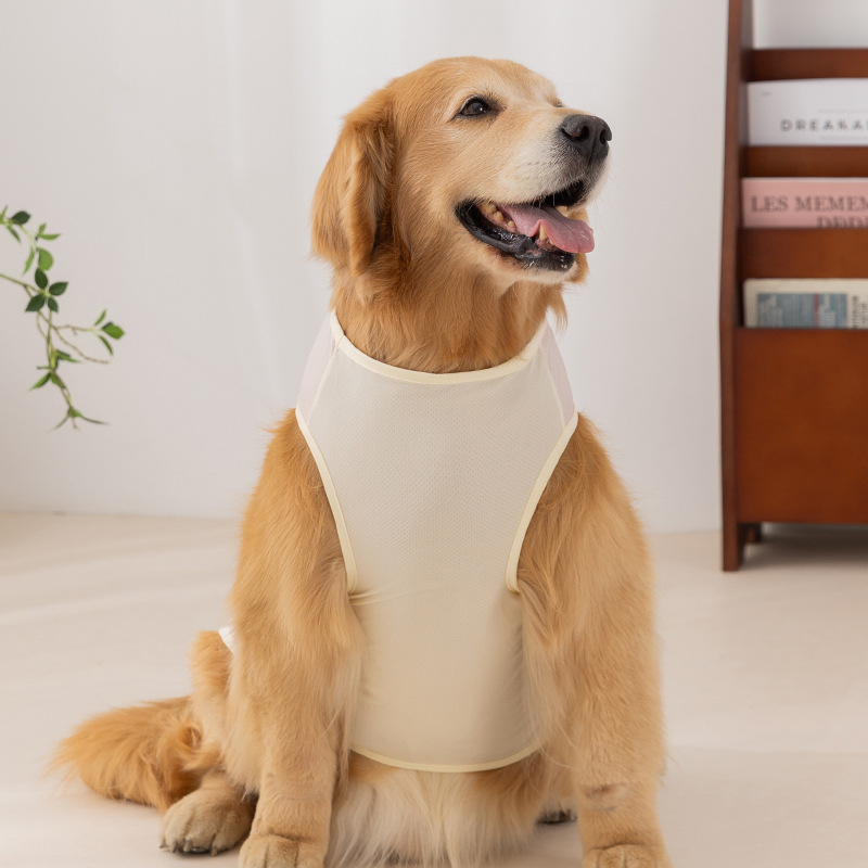Perro de primavera y verano, perro mediano y grande, macaron, perro mascota, malla, protector solar, chaleco fresco, perro grande, golden retriever, ropa fresca