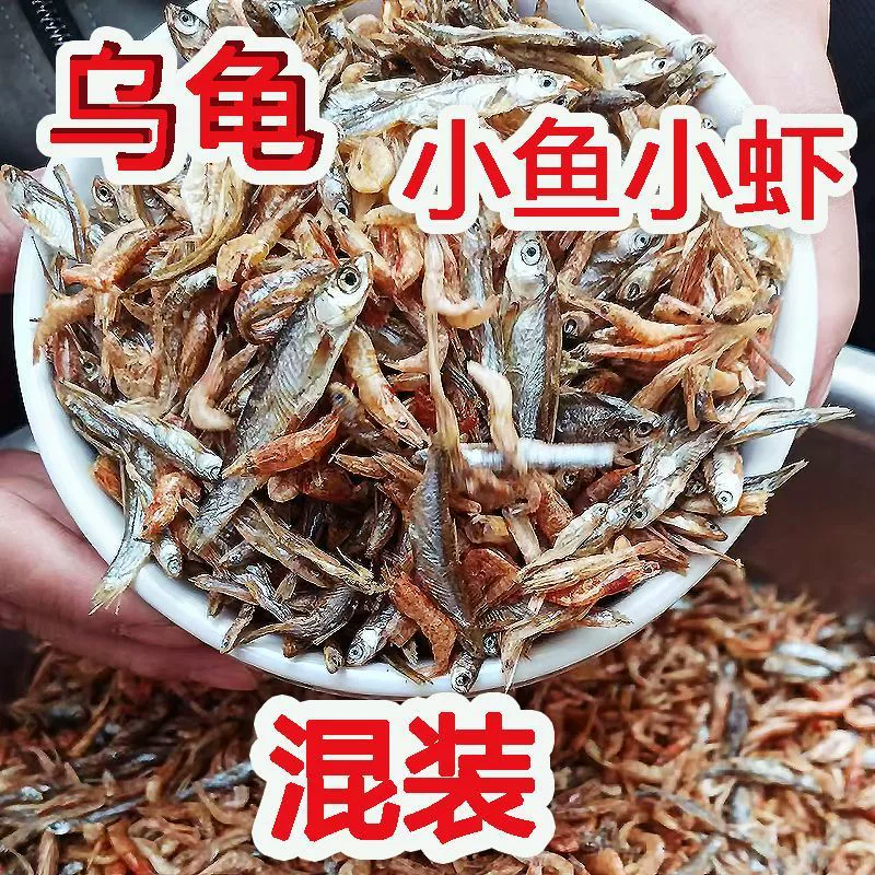 Черепаха ест маленькую рыбу и креветки, смешанный корм для черепах, пресноводная безсоленая трава, черепаха, молодая черепаха, бразильская черепаха, еда, закуска