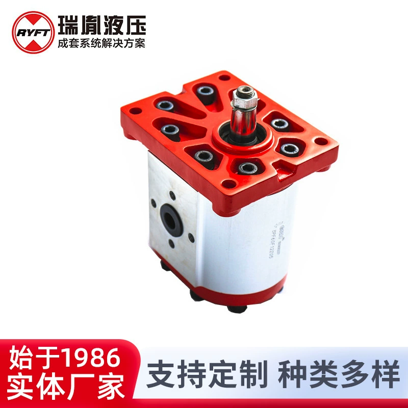 Производитель поставляет Rui Yi высокоскоростной шестеренчатый насос с низким крутящим моментом 3LPF