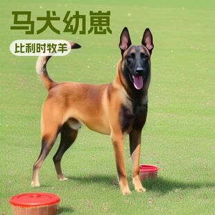 ���l���������RȮ���̼��N�����r����Ȯ���w�����o�lȮ���﹤��Ȯ