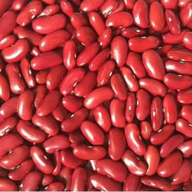 豆类;其他五谷杂粮;麦类