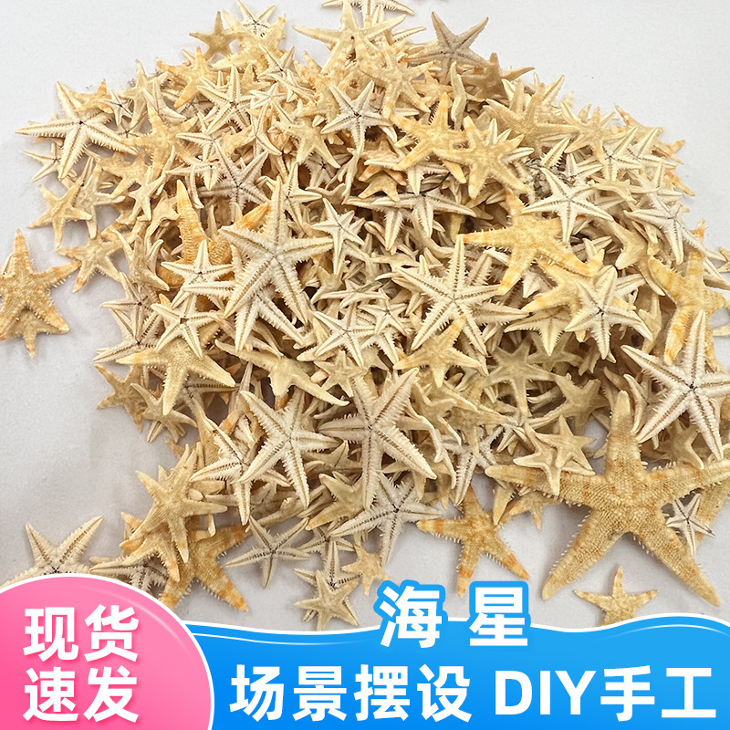 Spot wholesale mini starfish DIY handmade decorative materials jewelry accessories crystal drop glue fish tank landscaping starfish Spot wholesale mini starfish DIY handmade decorative materials jewelry accessories crystal drop glue fish tank landscaping starfish