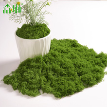 ̦\쾰̦ëƤGֲ΢^ֲbƺʯ^