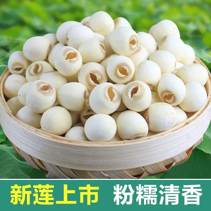 Lotus Seed (Nelumbo nucifera) — Fujian White Lotus Seeds, Core-Removed, Sulfur-Free Dried Food Herb overview