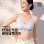 女士妈妈无痕聚拢胸罩