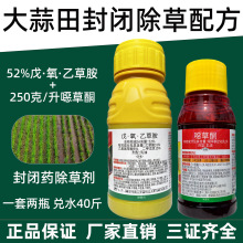 戊氧乙草胺噁草酮 大蒜苗前封闭除草剂 大蒜封闭药