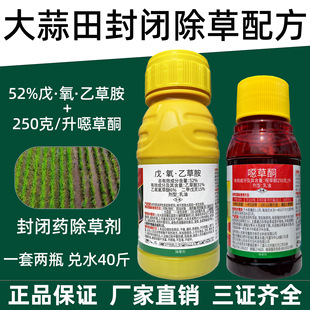 �����Ҳݰ��f��ͪ ������ǰ���]���݄� ������]ș