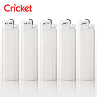 ���Cricket����һ���Է����M��ɰ݆���C��ʯ��݆�Ƶ�V��ӡ��