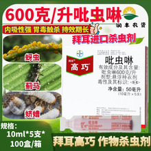 德国拜耳高巧 吡虫啉 玉米水稻花生蚜虫蓟马蛴螬拌种剂农药杀虫剂
